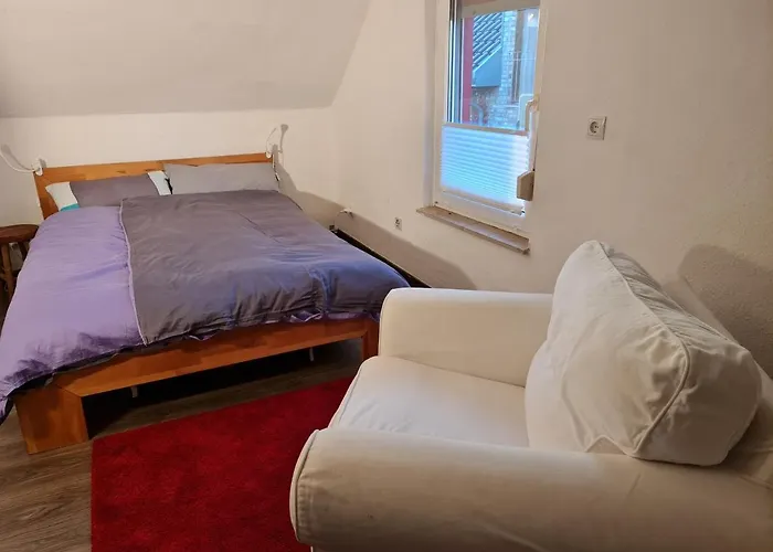 Schoenste Lage Am Rhein In Unmittelbarer Stadtnaehe,