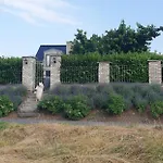 Schoenste Lage Am Rhein In Unmittelbarer Stadtnaehe, Colonia