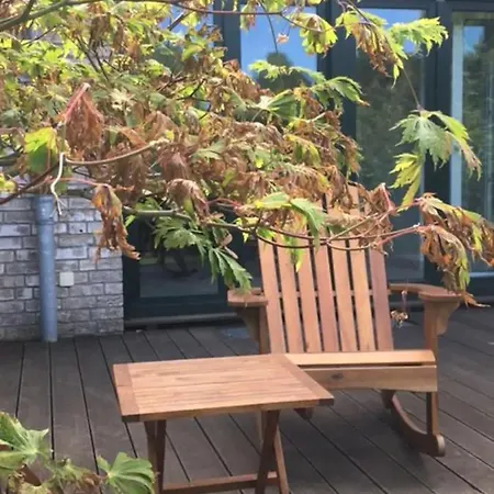 Alojamento de Acomodação e Pequeno-almoço Schoenste Lage Am Rhein In Unmittelbarer Stadtnaehe, *