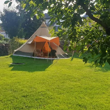 Schoenste Lage Am Rhein In Unmittelbarer Stadtnaehe, B&B