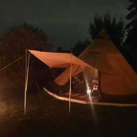 Schoenste Lage Am Rhein In Unmittelbarer Stadtnaehe,