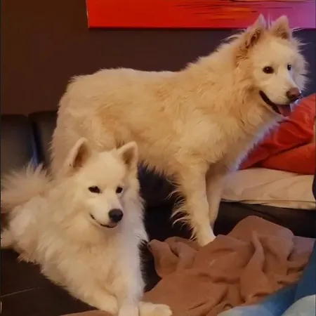 Bed & Breakfast Schoenste Lage Am Rhein In Unmittelbarer Stadtnaehe, *