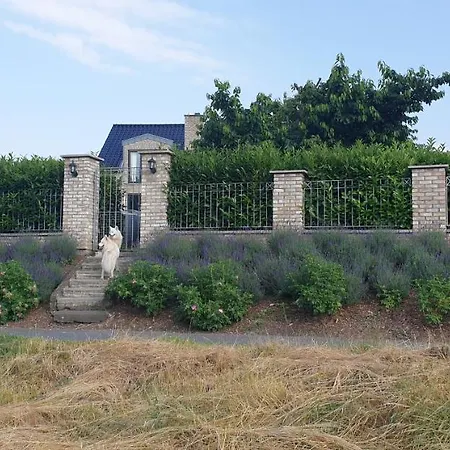 Schoenste Lage Am Rhein In Unmittelbarer Stadtnaehe, Kolonia