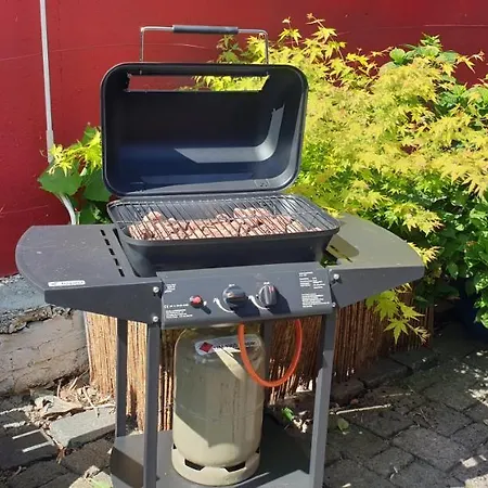 Bed & Breakfast Schoenste Lage Am Rhein In Unmittelbarer Stadtnaehe, *