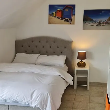 Schoenste Lage Am Rhein In Unmittelbarer Stadtnaehe,