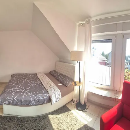 Schoenste Lage Am Rhein In Unmittelbarer Stadtnaehe, *