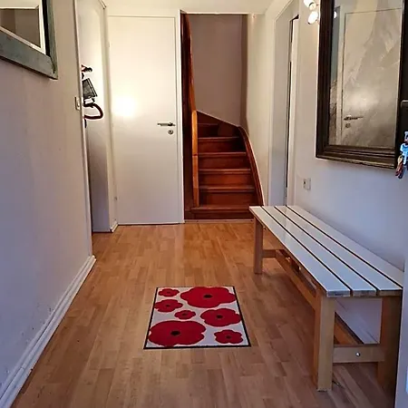 לינה וארוחת בוקר Schoenste Lage Am Rhein In Unmittelbarer Stadtnaehe, קלן
