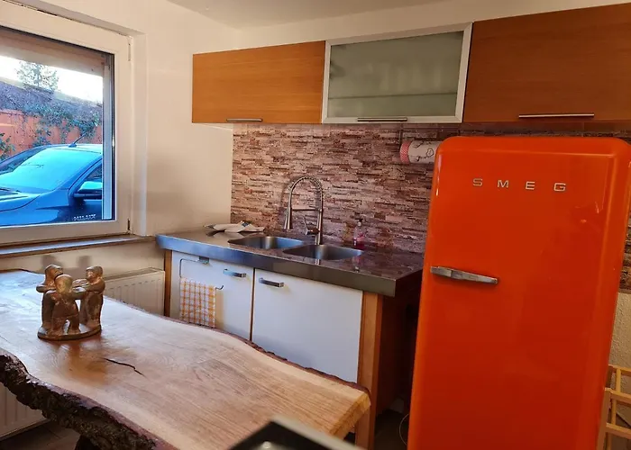 Schoenste Lage Am Rhein In Unmittelbarer Stadtnaehe, *