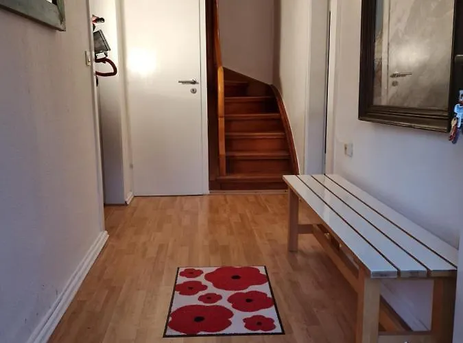 Panzió Schoenste Lage Am Rhein In Unmittelbarer Stadtnaehe, *