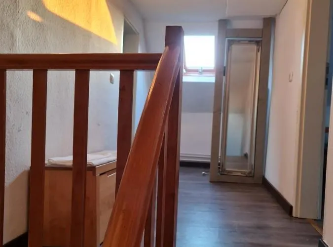 לינה וארוחת בוקר Schoenste Lage Am Rhein In Unmittelbarer Stadtnaehe,