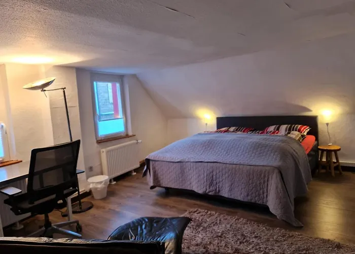 Panzió Schoenste Lage Am Rhein In Unmittelbarer Stadtnaehe,