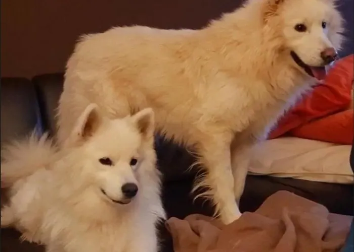 Panzió Schoenste Lage Am Rhein In Unmittelbarer Stadtnaehe, *