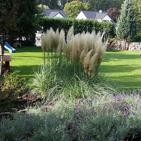 Schoenste Lage Am Rhein In Unmittelbarer Stadtnaehe, Nocleg ze śniadaniem Kolonia