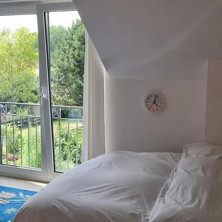 Schoenste Lage Am Rhein In Unmittelbarer Stadtnaehe, * Kolonia