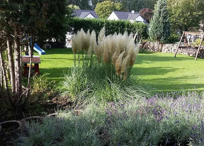 Schoenste Lage Am Rhein In Unmittelbarer Stadtnaehe, Bed & Breakfast Colonia