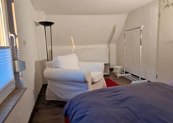 Schoenste Lage Am Rhein In Unmittelbarer Stadtnaehe, *