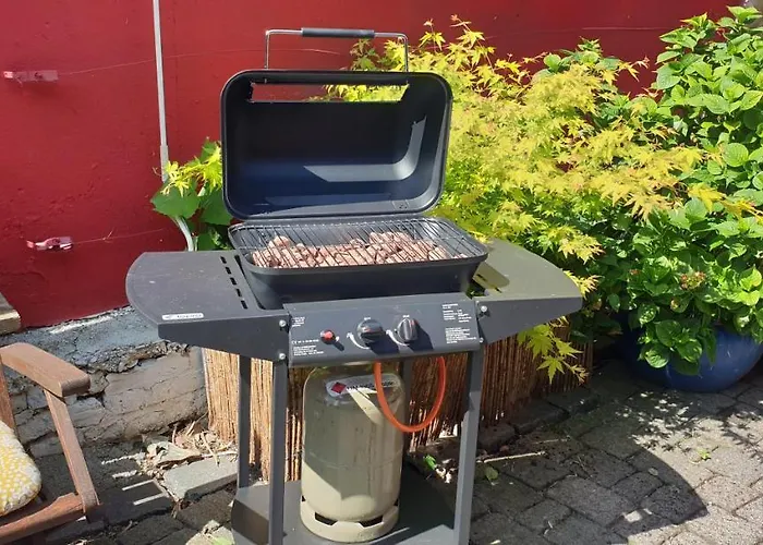 Bed & Breakfast Schoenste Lage Am Rhein In Unmittelbarer Stadtnaehe, *