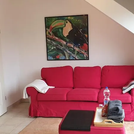 Schoenste Lage Am Rhein In Unmittelbarer Stadtnaehe, *