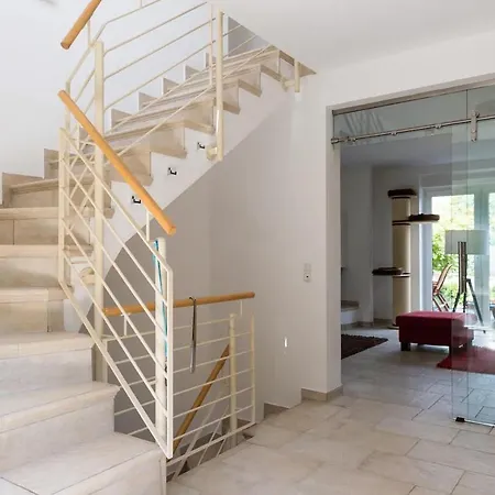 Bed & Breakfast Schoenste Lage Am Rhein In Unmittelbarer Stadtnaehe,