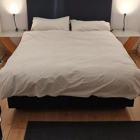 Schoenste Lage Am Rhein In Unmittelbarer Stadtnaehe, Bed & Breakfast