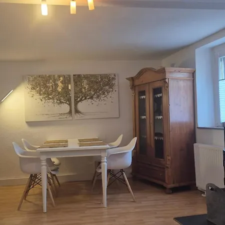 Bed & Breakfast Schoenste Lage Am Rhein In Unmittelbarer Stadtnaehe,
