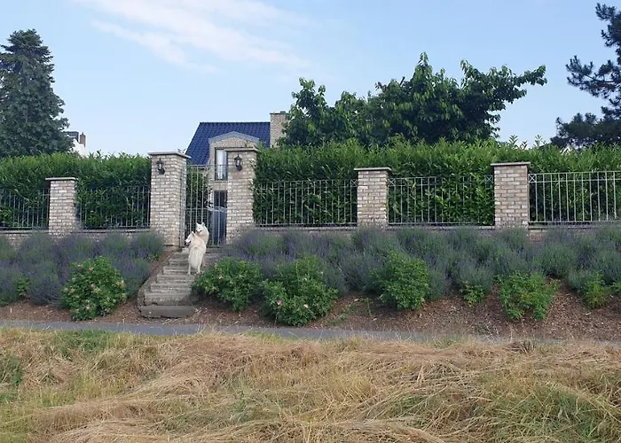 Schoenste Lage Am Rhein In Unmittelbarer Stadtnaehe, ケルン