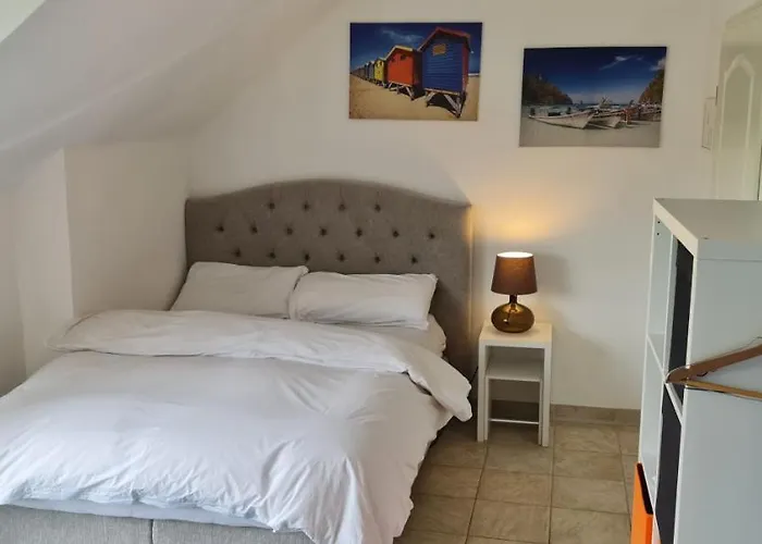 Schoenste Lage Am Rhein In Unmittelbarer Stadtnaehe,