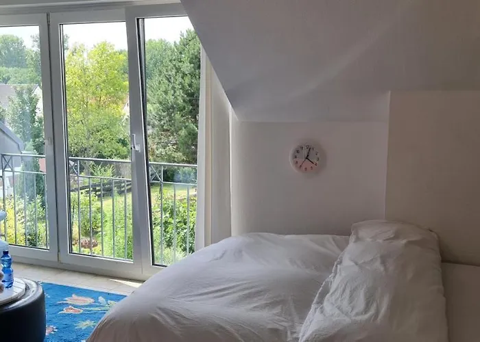 Schoenste Lage Am Rhein In Unmittelbarer Stadtnaehe, * ケルン